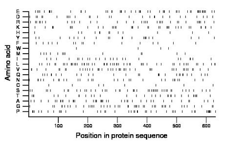 amino acid map