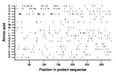 amino acid map