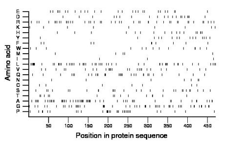 amino acid map