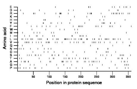 amino acid map