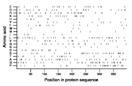 amino acid map