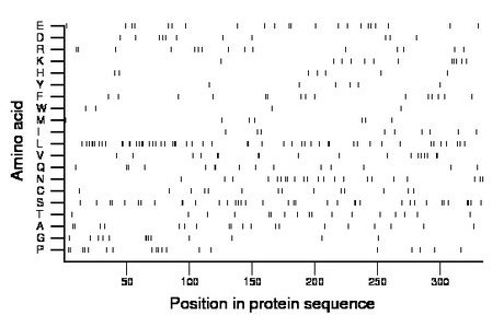 amino acid map