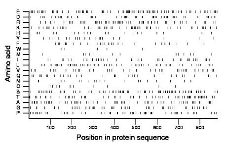 amino acid map