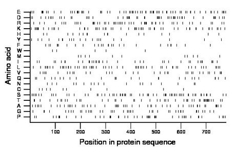 amino acid map