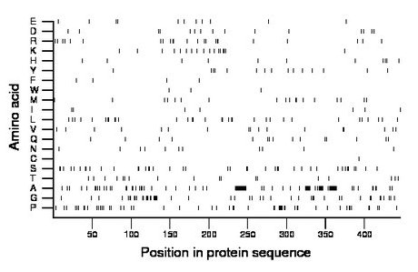 amino acid map