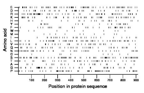 amino acid map