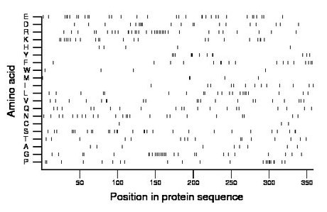 amino acid map