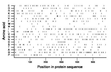 amino acid map