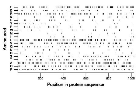 amino acid map