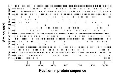 amino acid map