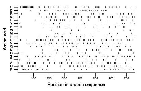 amino acid map