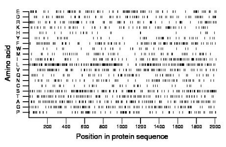 amino acid map