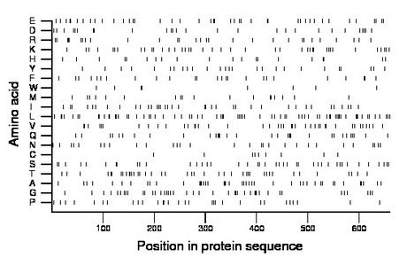 amino acid map