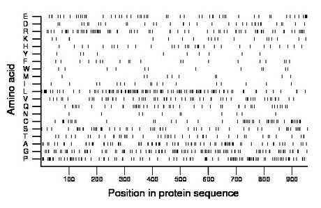 amino acid map