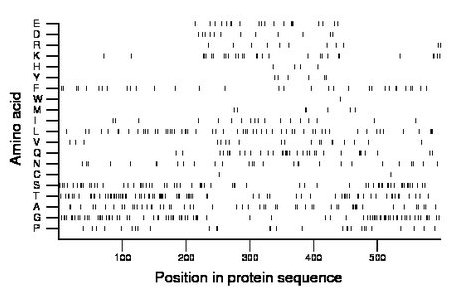 amino acid map