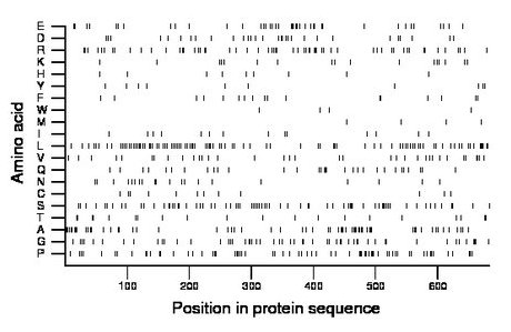 amino acid map