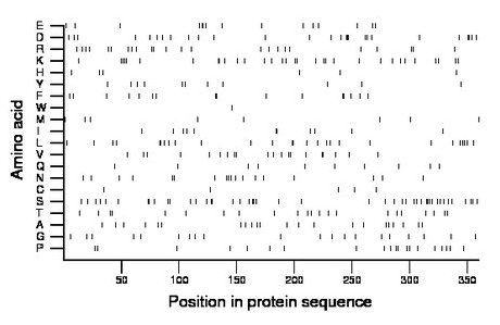 amino acid map