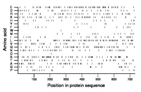 amino acid map