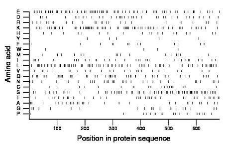 amino acid map