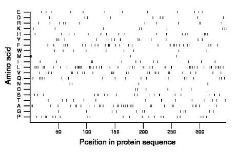 amino acid map