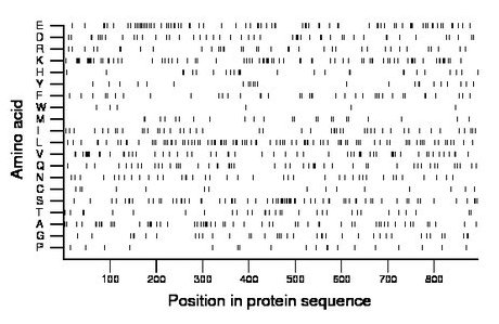 amino acid map