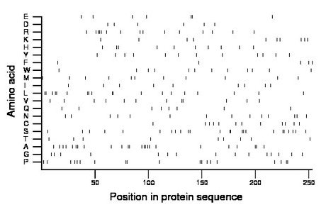 amino acid map