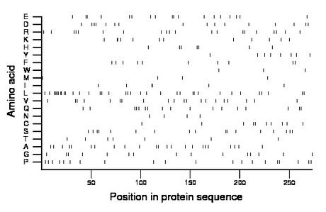 amino acid map