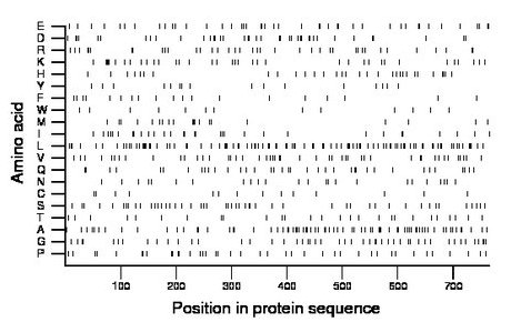 amino acid map