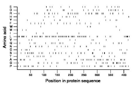 amino acid map