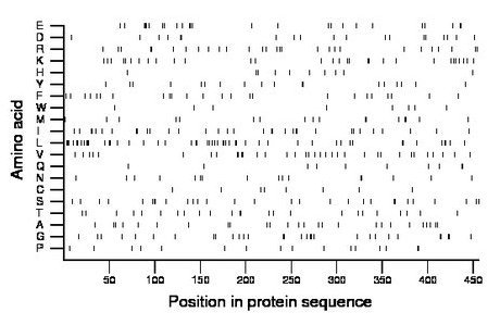 amino acid map