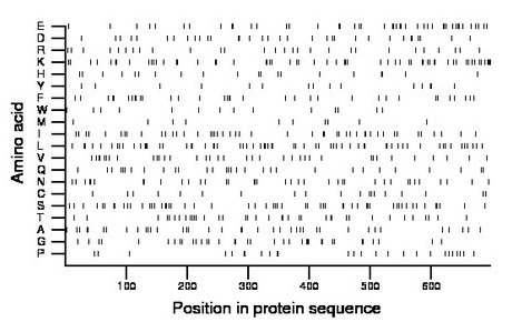 amino acid map