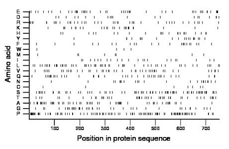 amino acid map