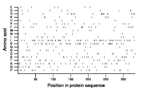 amino acid map