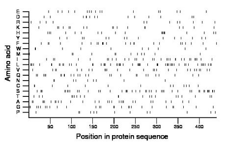 amino acid map