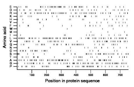 amino acid map