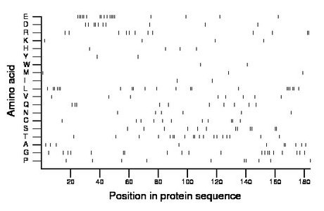 amino acid map