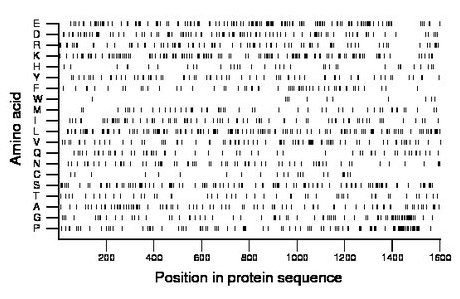 amino acid map