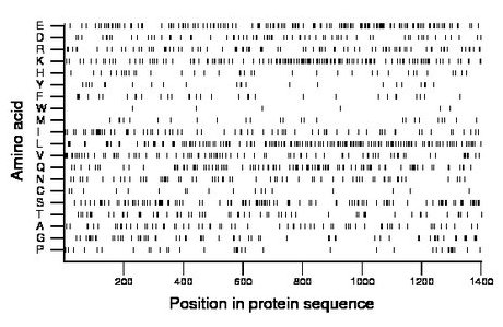 amino acid map