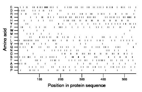 amino acid map