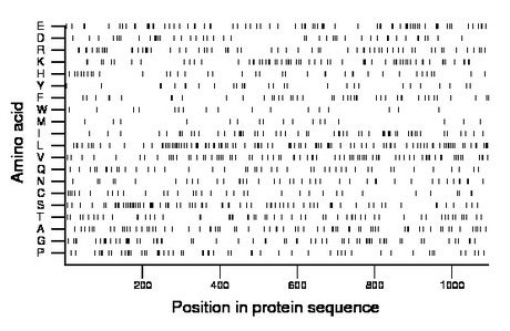 amino acid map