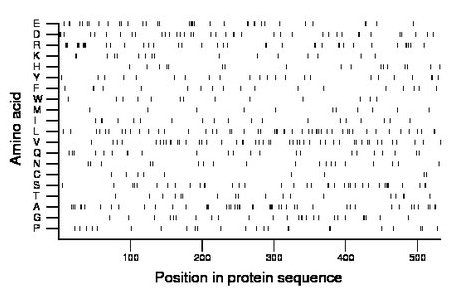 amino acid map