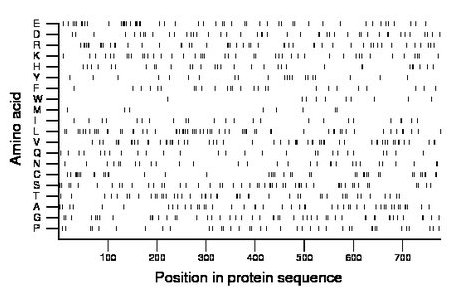 amino acid map