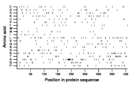 amino acid map