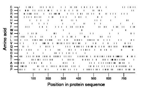 amino acid map