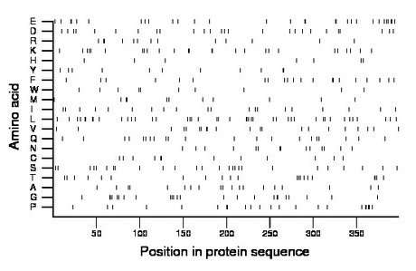 amino acid map