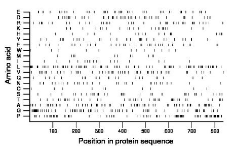 amino acid map