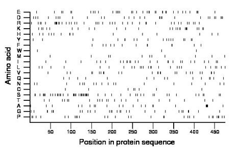 amino acid map