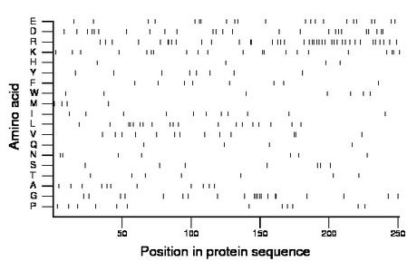 amino acid map