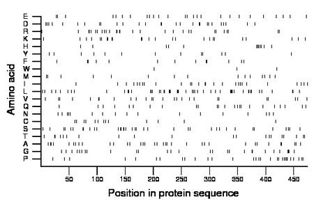 amino acid map