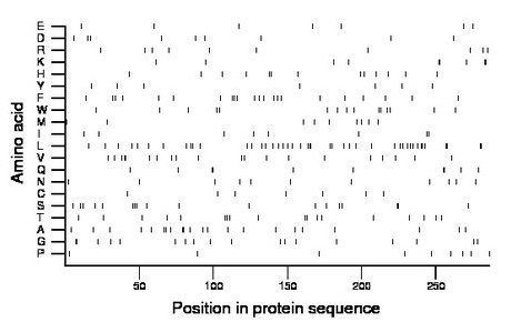 amino acid map